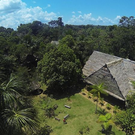 亚马逊新奇库伊山林小屋 伊基托斯 外观 照片