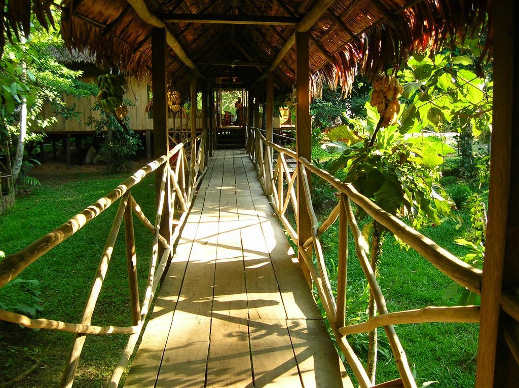 亚马逊新奇库伊山林小屋 伊基托斯 外观 照片