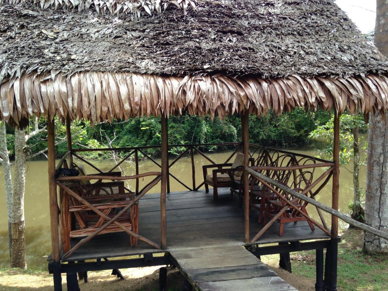 亚马逊新奇库伊山林小屋 伊基托斯 外观 照片